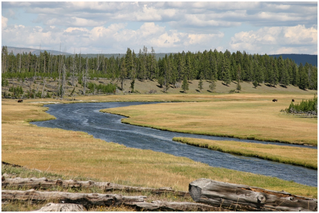 04 - Yellowstone NP (51).jpg